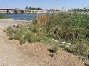 538258000_10239211359680907_3768034520838093329_n