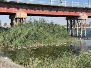 538276509_10239211348160619_4221080413171579840_n