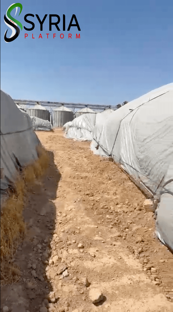 الطحين في تل ابيض ٢