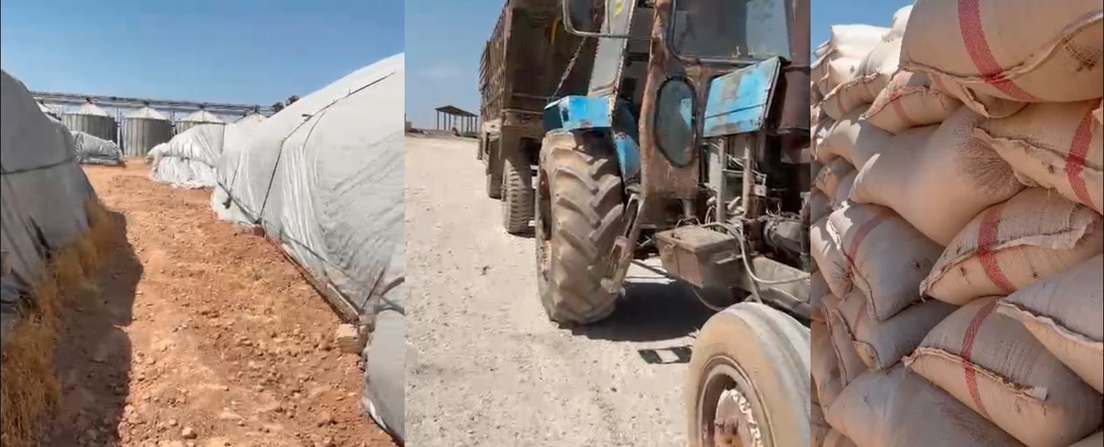 تل أبيض على حافة الجوع: أزمة الطحين تهدد نبع السلام بكارثة إنسانية